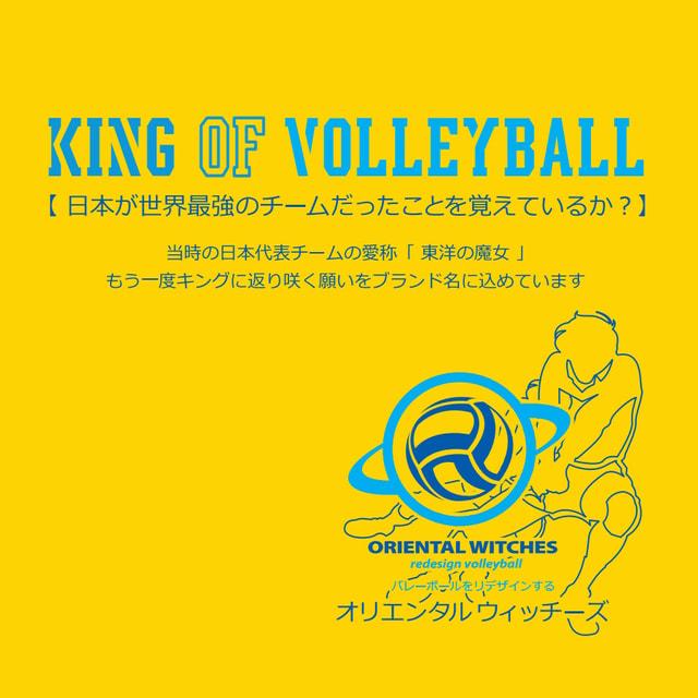 オリエンタルウィッチーズ メンズ レディス バレーボール 半袖Tシャツ