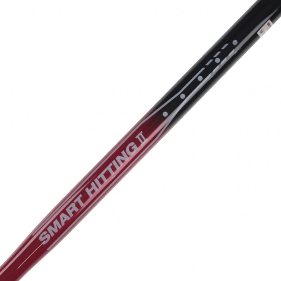 asics - グラウンドゴルフ クラブ アシックス asics  スマートヒッティング グラウンドゴルフ アシックス ASICSスマートヒッティングTC 4点