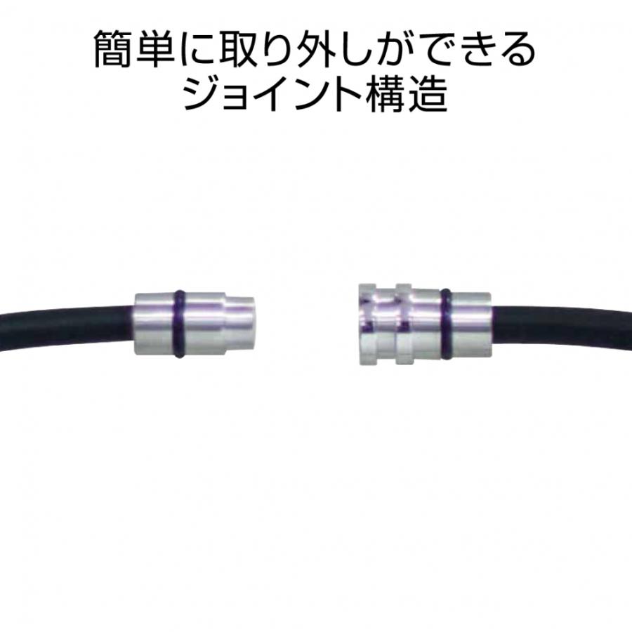 健康アクセサリー Colantotte ColanTotte（コラントッテ） ネックレス クレスト ABAAS52 健康