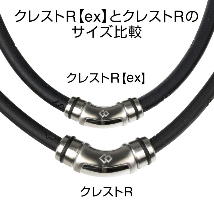 ColanTotte（コラントッテ） ネックレス クレストR ex ABAPV04M 健康