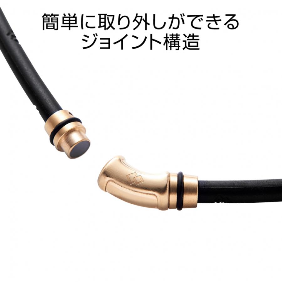 ColanTotte（コラントッテ） ネックレス クレストR ex ABAPV04M 健康