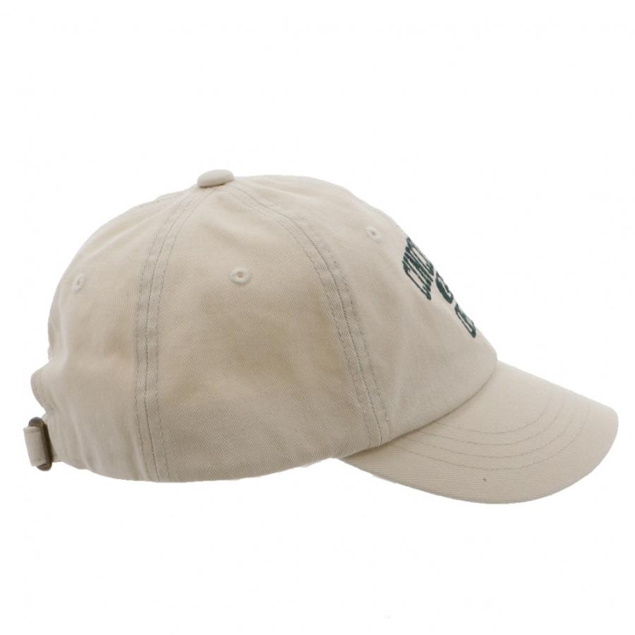 Champion（チャンピオン） キャップ カレッジロゴキャップ 181-0322