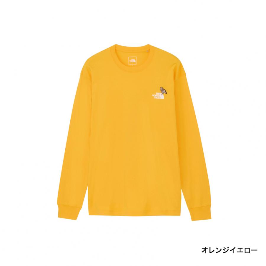 なる THE NORTH FACE（ザ ノースフェイス） 2025秋冬 アウトドアカジュアル