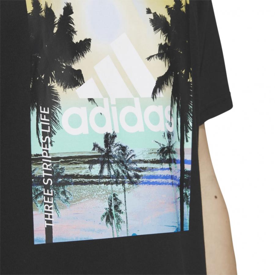 adidas アディダス メンズ 半袖 Tシャツ パームツリー