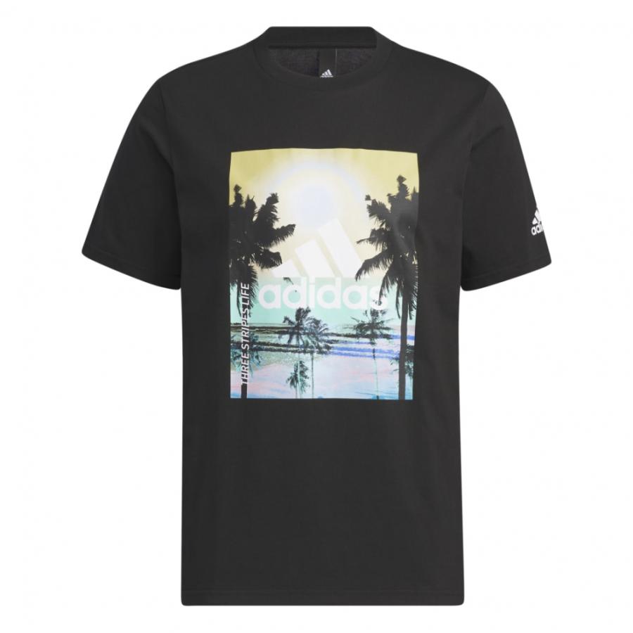 adidas アディダス メンズ 半袖 Tシャツ パームツリー