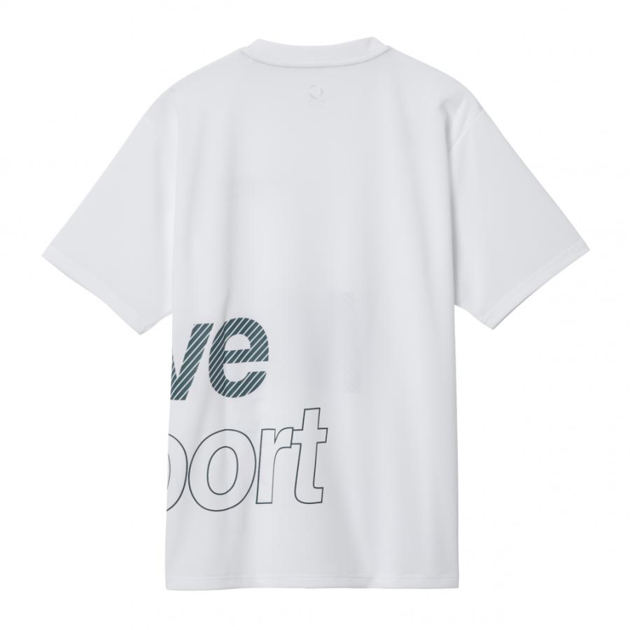 DESCENTE GOLF デサント メンズ 半袖 機能 Tシャツ ドライメッシュ