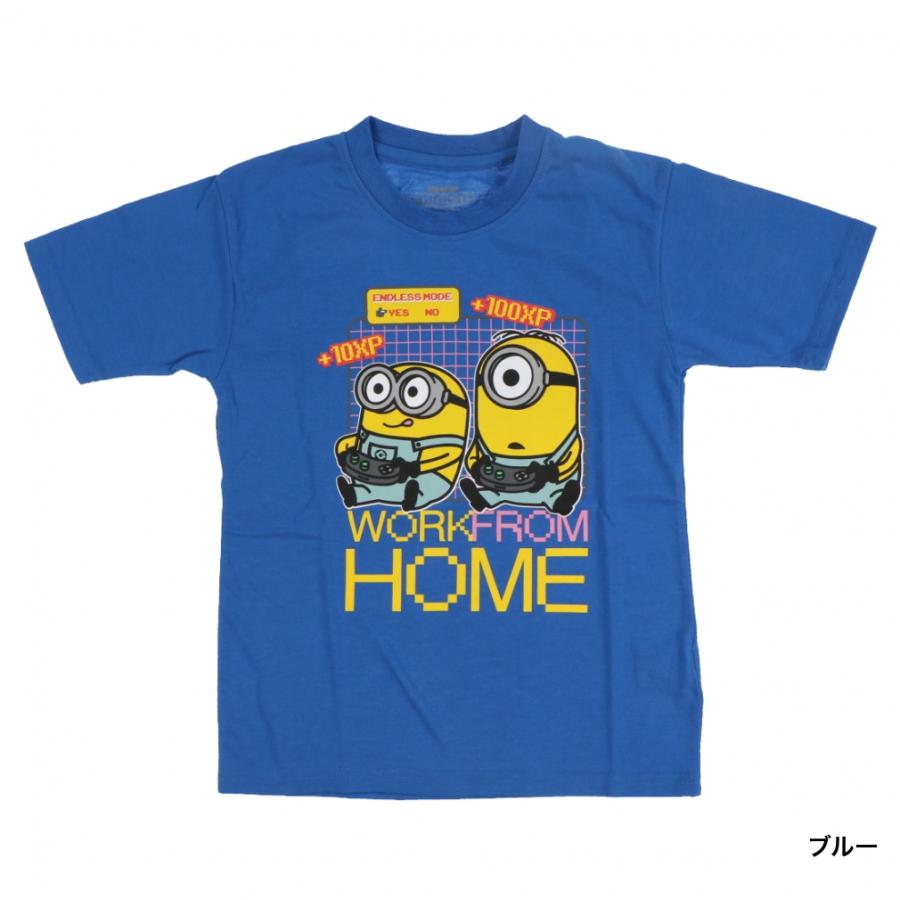 Bristol ミニオン Tシャツ Mサイズ　キッズ 楽天市場】最大10％OFFクーポン 【8/30〜9/1】 ファインプラス