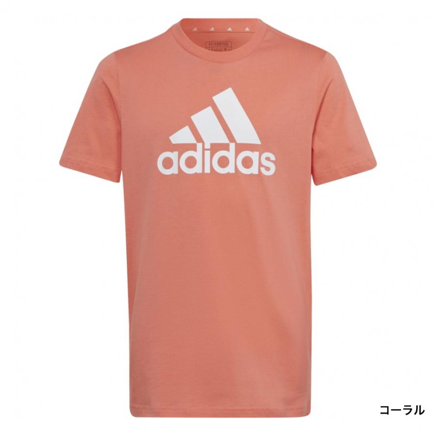 アディダス ジュニア キッズ 子供 半袖 Tシャツ エッセンシャルズ ビッグロゴ コットン 半袖 Tシャツ ECN71 IC6859 IC6858 スポーツウェア adidas｜alpen-group｜02