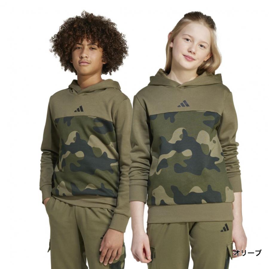 DRESS カモフラージュロゴパーカー 10.0オンス　スウェット 　サイズＳ USAコットン ドライ 無地 カモフラ ジップパーカー オーセンティック