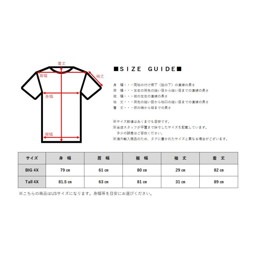 POLO RALPH LAUREN（ポロ・ラルフローレン） アイコニックメッシュ