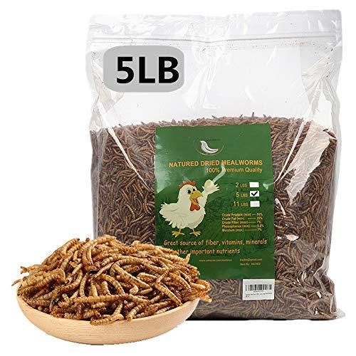 全日本送料無料 5 Lbs Dried Mealworms 100 Non Gmo Natural High Protein Treats For Chicken Ys アルファストア 通販 Yahoo ショッピング 海外最新 Www Sikampuh Kroya Cilacapkab Go Id