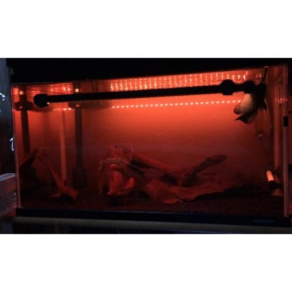 超 スリム ＬＥＤ灯 長さ１０４ｃｍ １２０ｃｍ水槽 などに １６色切替可能 水中ＬＥＤ灯 水陸両用 水中灯 色揚げ 水中蛍光灯 大型水槽 全７モデル 　led104cm |  | 08