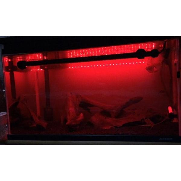 超 スリム ＬＥＤ灯 長さ２８ｃｍ 小型水槽 などに １６色切替可能 35cm水槽 など 水中ＬＥＤ灯 水中灯 色揚げ 水陸両用 水中蛍光灯 全７モデル 　led28cm |  | 09