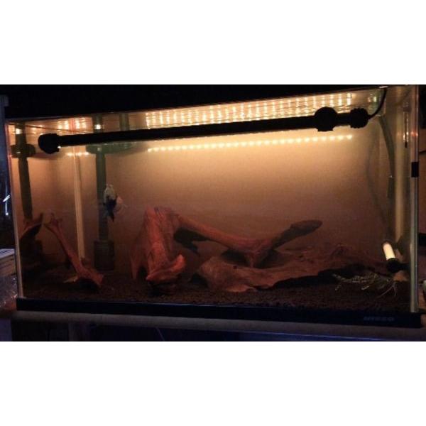 超 スリム ＬＥＤ灯 長さ82ｃｍ　90ｃｍ水槽 などに １６色切替可能 水中ＬＥＤ灯 水中灯 色揚げ 上部灯 水陸両用 色上げ 水中蛍光灯 　led82cm　本州　送料無料 |  | 06