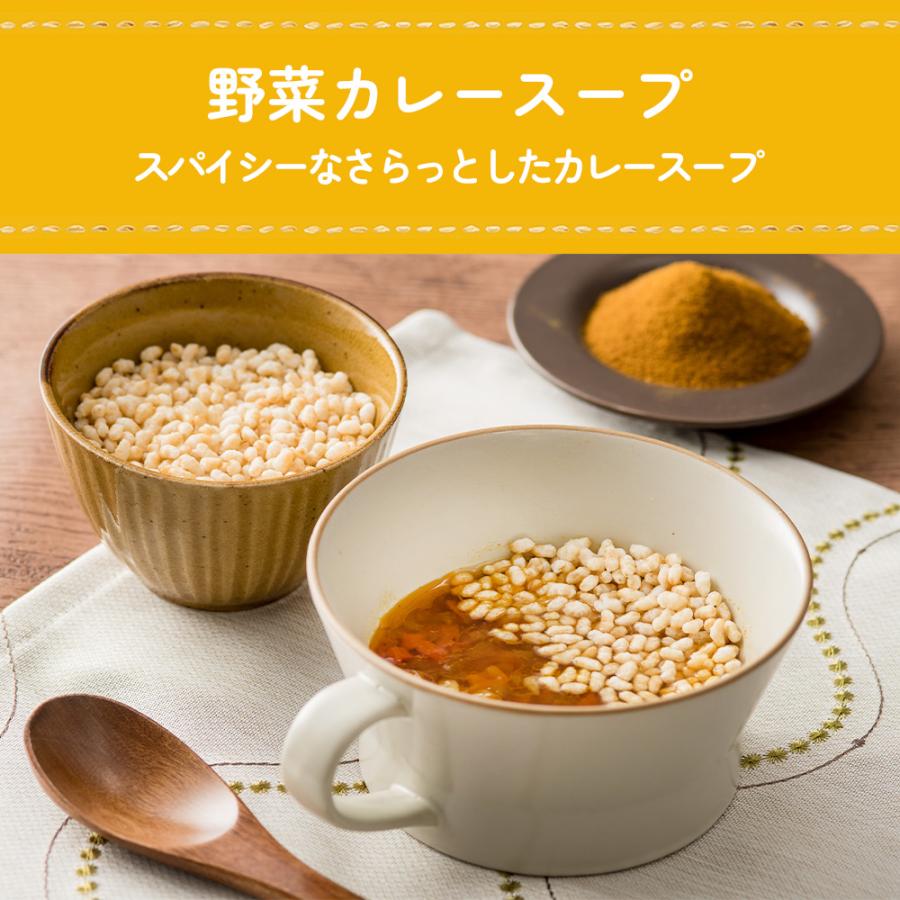 アルファー食品 サクッとライス 野菜カレースープ (190g) 玄米スープ