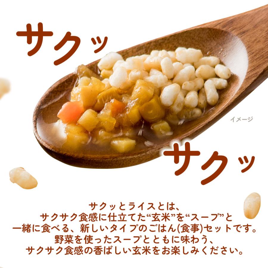 アルファー食品 サクッとライス 野菜カレースープ (190g) 玄米スープ
