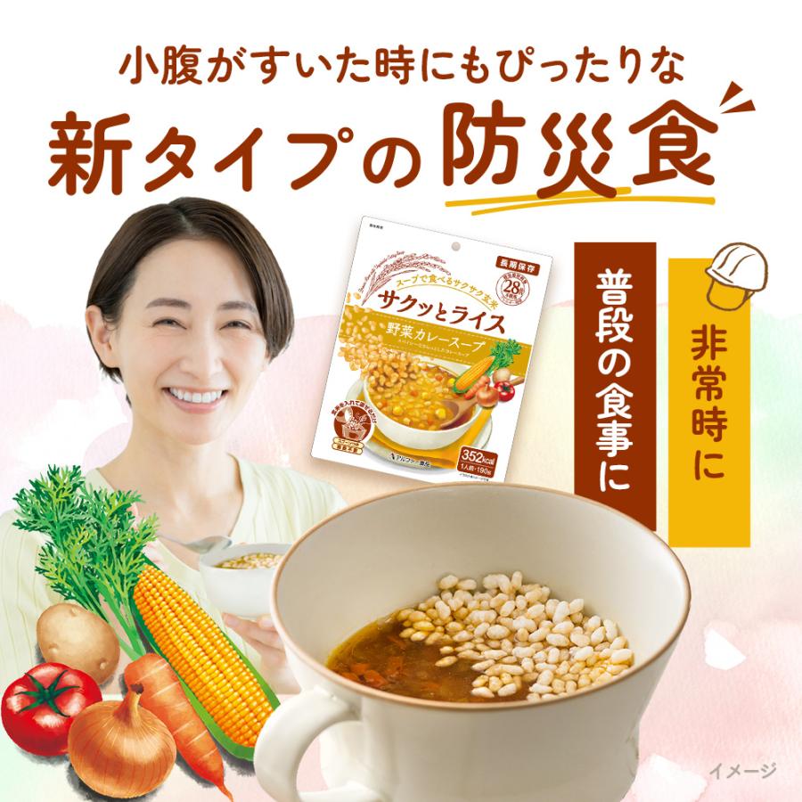 アルファー食品 サクッとライス 野菜カレースープ (190g) 玄米スープ