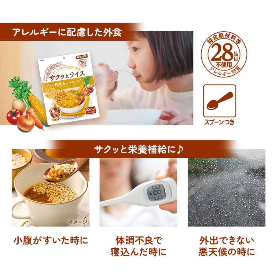 アルファー食品 サクッとライス 野菜カレースープ (190g) 玄米スープ