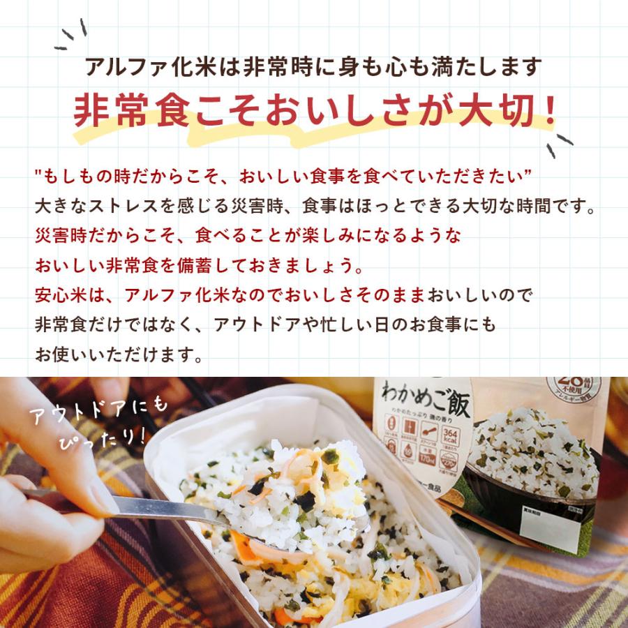 非常食セット 3日分 5年保存 1人 9食セット 非常食 アルファ米 安心米 防災食 保存食 備蓄 食料｜alpha-syokuhin｜05