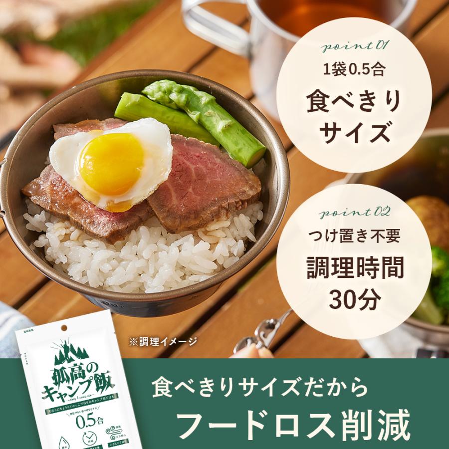 アルファー食品 孤高のキャンプ飯 0.5合×8袋 無洗米 ごはん アウトドア