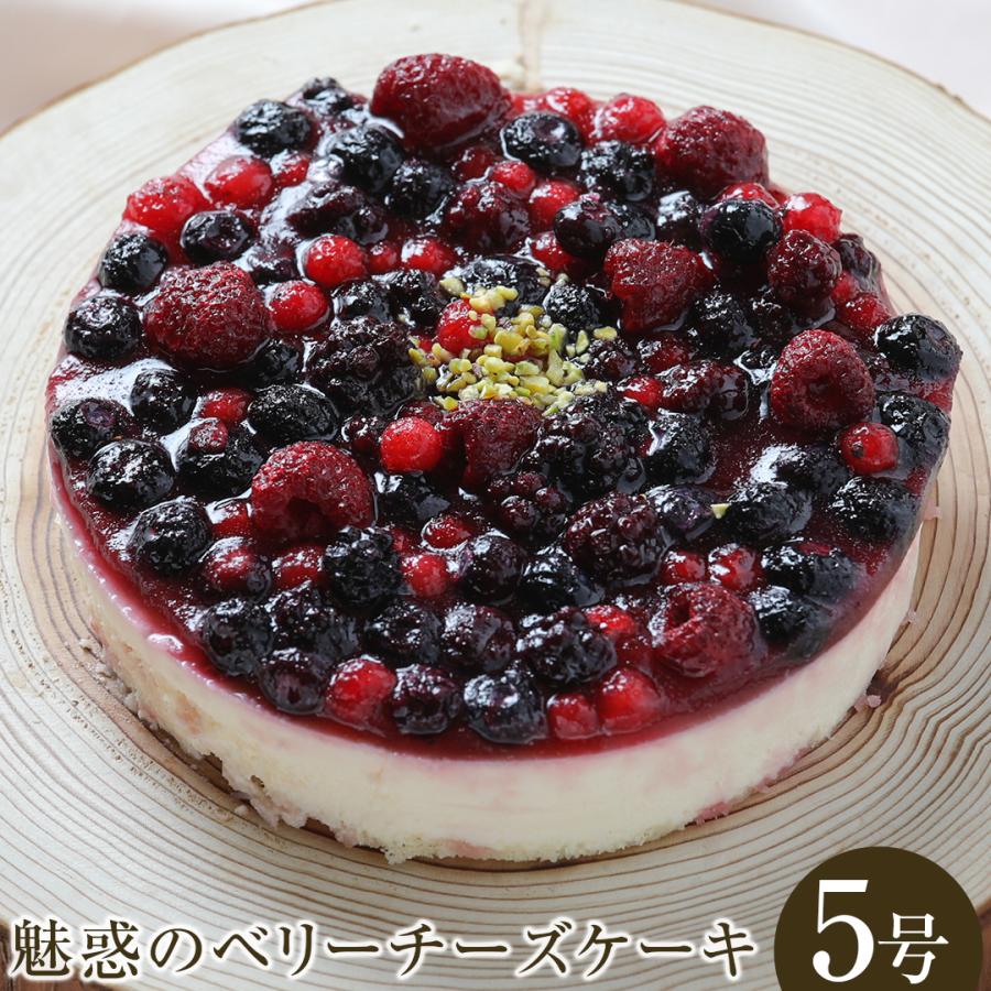 ベリーチーズケーキ ブルーベリー チーズケーキ チーズ スイーツ フルーツ ホール ケーキ お菓子 ベルヴィグループ ギフト プレゼント お祝い 21 Berrycheesecake アルファクラブ武蔵野ヤフー店 通販 Yahoo ショッピング