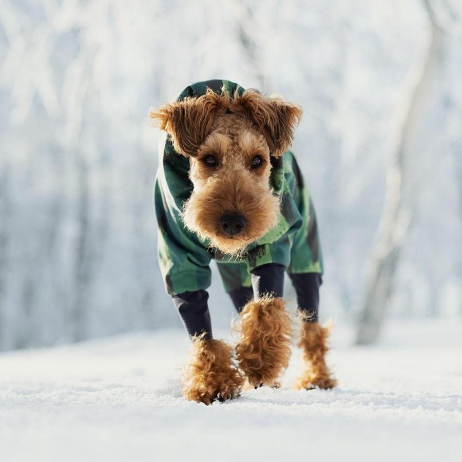 ALPHAICON】ドッグガードエアFPM