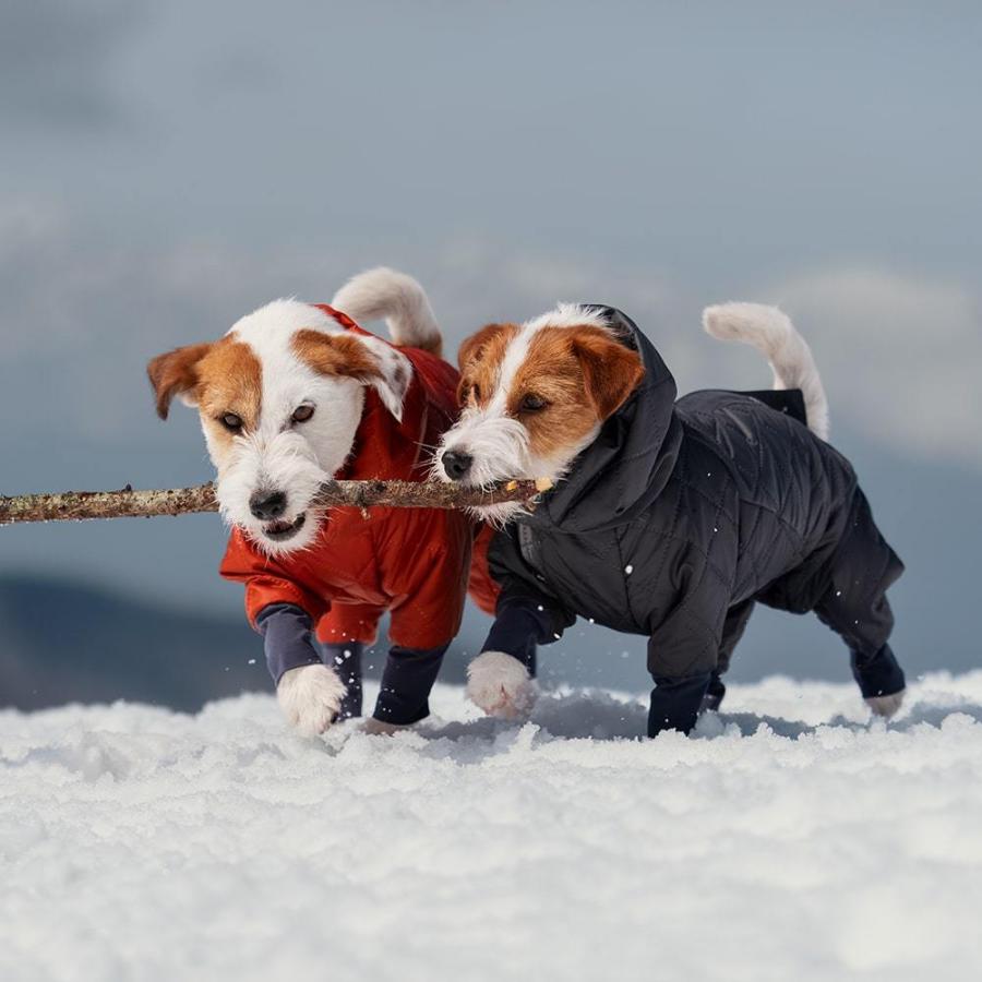 【ALPHAICON】ドッグガードエアＬＬ 裏地 ポリエステル100％