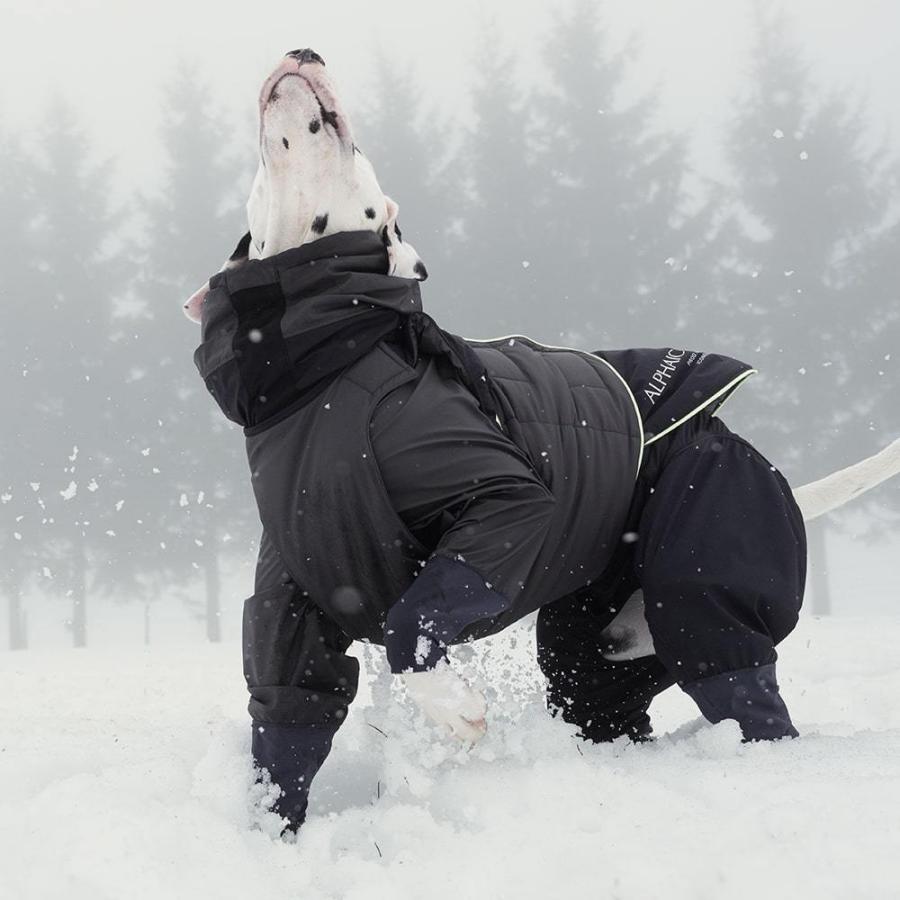 【ALPHAICON】スノードッグガードＬＬ 