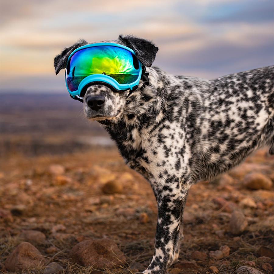 REX SPECS ゴーグル X-SMALL ピンク　新品未使用 Rex Specs 犬用ゴーグルSサイズ