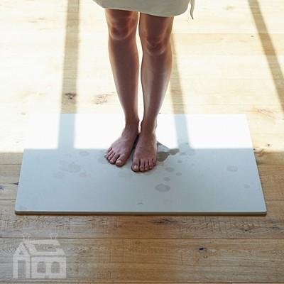 SOIL BATH MAT Large ソイル バスマット ラージ [ 珪藻土/調湿 ] | 