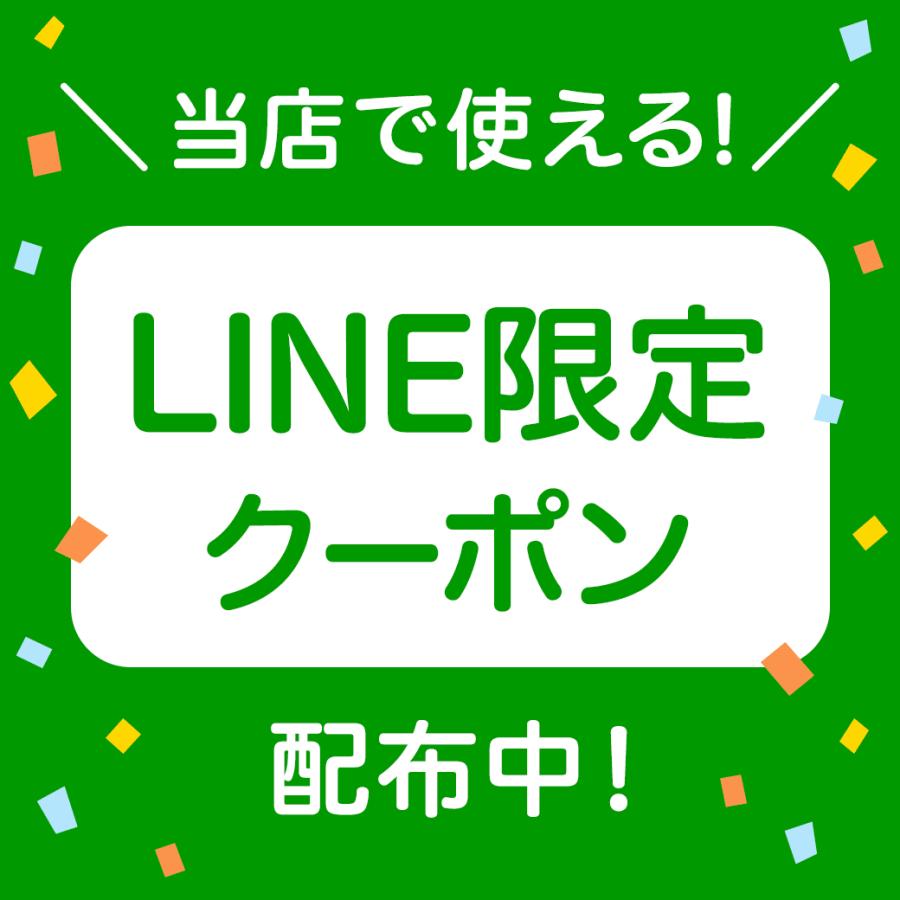 口臭ケア マウスウォッシュ プロフレッシュ オーラルリンス 500ml 2本セット 口臭対策 洗口液 ProFresh ClO2 公式 正規輸入品 オーラルケア 就活 面接｜alphanet｜12