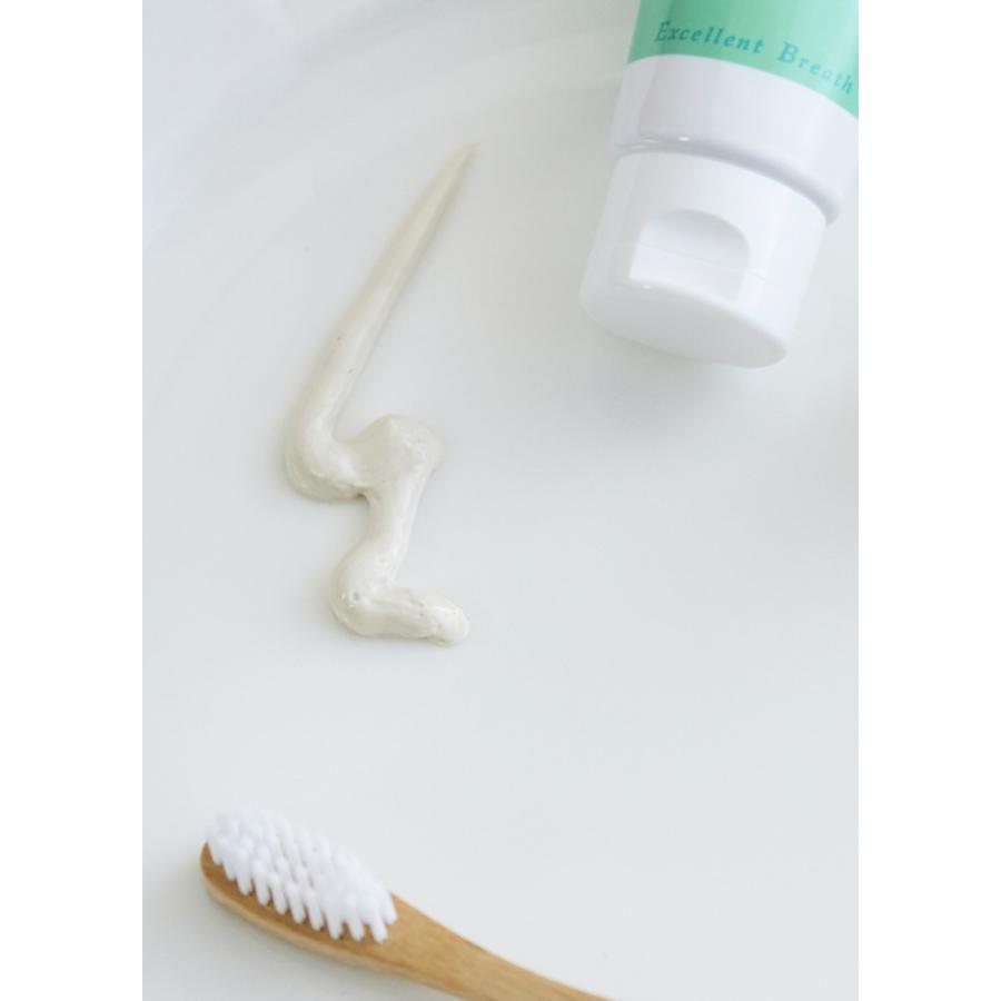 Excellent Breath（エクセレントブレス） 口臭ケア 薬用歯磨き粉 90g 4