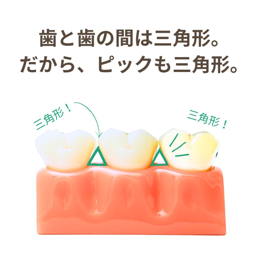Ora Basik（オーラベーシック） 歯間ピック 携帯用 つまようじ 歯茎 歯