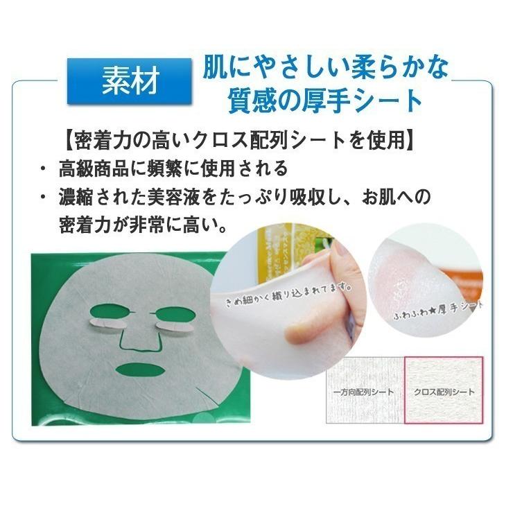 フェイスマスク シートパック 【EGF 10枚セット】エッセンスマスク