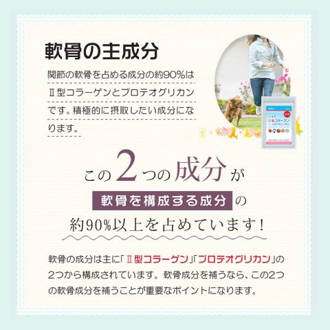 関節 サプリ 30日分 日本製 無添加 非変性２型コラーゲン 非変性プロテオグリカン グルコサミン コンドロイチン｜alphay3939｜06