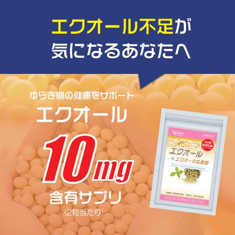 エクオール お得な３袋セット エクオール産生菌 サプリ ラクトビオン酸 米糠・大豆エキス納豆菌発酵物 プラセンタ チェストベリー 田七人参 女性ホルモン｜alphay3939｜04