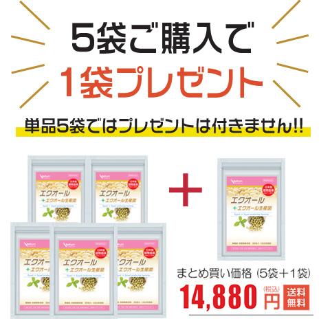 エクオール 5袋＋1袋付 エクオール産生菌 日本産 ラクトビオン酸 大豆イソフラボン 米糠・大豆エキス納豆菌発酵物 プラセンタ チェストベリー 田七人参｜alphay3939｜13