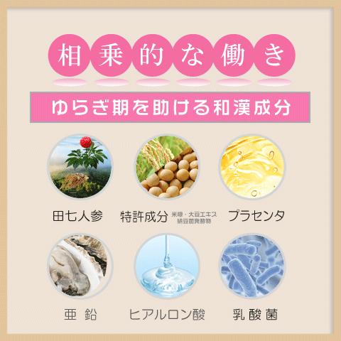 エクオール 5袋＋1袋付 エクオール産生菌 日本産 ラクトビオン酸 大豆イソフラボン 米糠・大豆エキス納豆菌発酵物 プラセンタ チェストベリー 田七人参｜alphay3939｜08