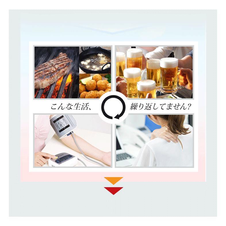 冷え サプリ ３袋セット 国際博覧会金賞受賞！巡り 生姜 しょうが DHD EPA ヒハツ カリウム イチョウ葉エキス メリロート 田七人参 タマネギ皮 ナットウキナーゼの画像