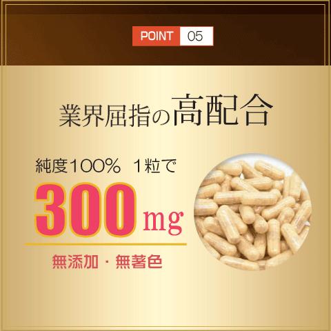 Alphay 冬虫夏草 100% 無添加 サナギタケ サプリ 無添加 活力サプリ 免