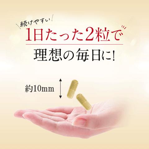 Alphay 冬虫夏草 100% 無添加 サナギタケ サプリ 無添加 活力サプリ 免