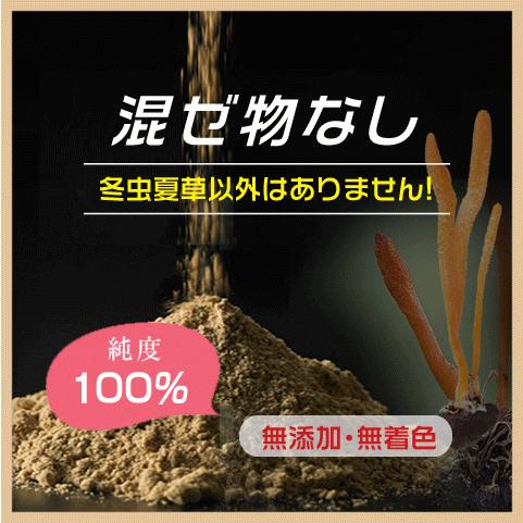 冬虫夏草 お徳用３箱セット 20%OFF 日本最高品質！国際博覧会金賞受賞！免活サプリ 免活 免疫力 維持 妊活 女性 活力 男性 サナギタケ サプリ｜alphay3939｜07