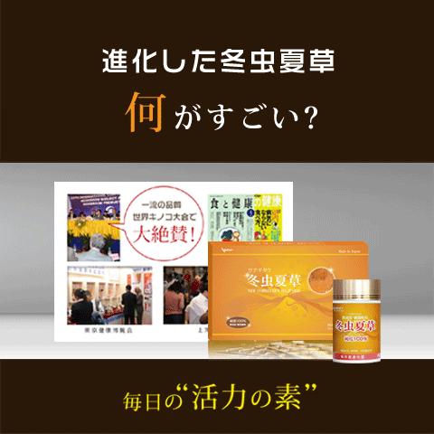 Alphay 冬虫夏草 2箱セット 国際博覧会金賞受賞！サナギダケ 百楽草 
