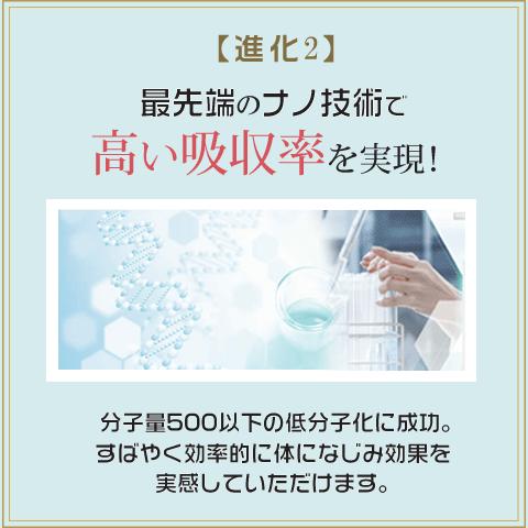 Alphay 冬虫夏草 6箱セット 純度100% 国際博覧会金賞受賞！サナギダケ