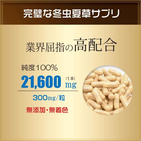 Alphay 冬虫夏草 6箱セット 純度100% 国際博覧会金賞受賞 Alphay 冬虫夏草 6箱セット 純度100% 国際博覧会金賞受賞