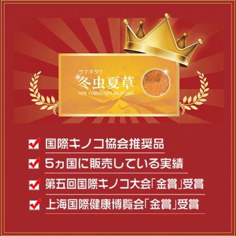 Alphay 冬虫夏草 6箱セット 純度100% 国際博覧会金賞受賞！サナギダケ