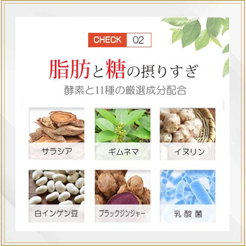 ダイエットサプリ エラグ酸 3000mg 1ヶ月分 1粒に100mg 高濃度 ダイエット サプリ ザクロ アフリカマンゴノキ サラシア イヌリン L-カルニチン 白インゲン豆 | Alphay | 04