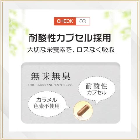 ダイエットサプリ エラグ酸 3000mg 1ヶ月分 1粒に100mg 高濃度 ダイエット サプリ ザクロ アフリカマンゴノキ サラシア イヌリン L-カルニチン 白インゲン豆 | Alphay | 05