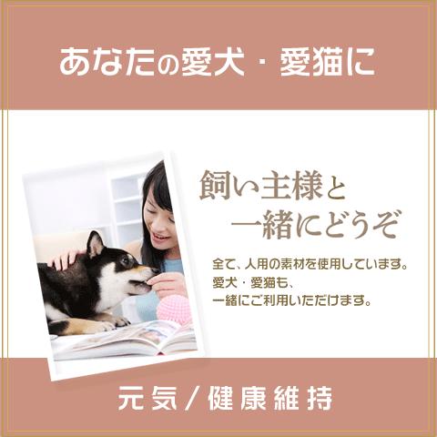 ダイエットサプリ エラグ酸 3000mg 1ヶ月分 1粒に100mg 高濃度 ダイエット サプリ ザクロ アフリカマンゴノキ サラシア イヌリン L-カルニチン 白インゲン豆 | Alphay | 08