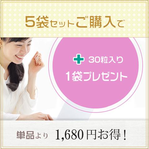 ダイエットサプリ エラグ酸 3000mg 1ヶ月分 1粒に100mg 高濃度 ダイエット サプリ ザクロ アフリカマンゴノキ サラシア イヌリン L-カルニチン 白インゲン豆 | Alphay | 09